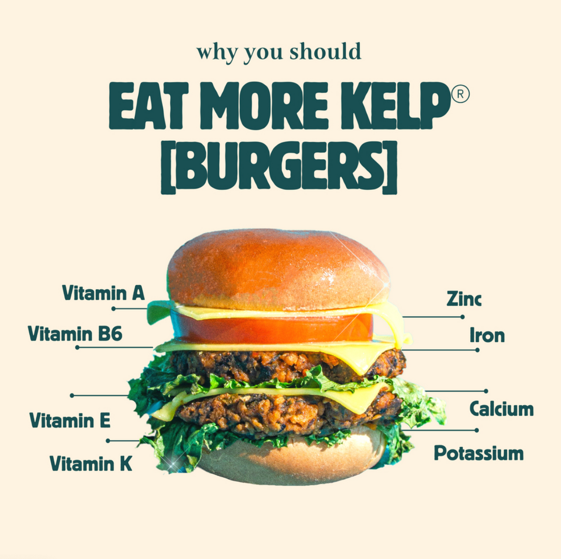 The Kelp Burger with breakdown of vitamin A, B6, E, K, Zinc, Iron, Calcium, & Potassium