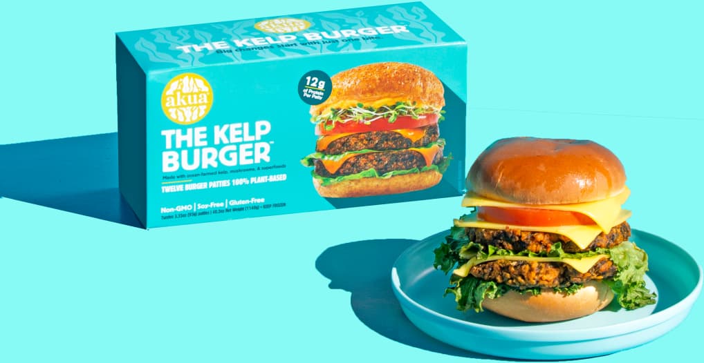 Kelp Burger on plate next to box with blue background