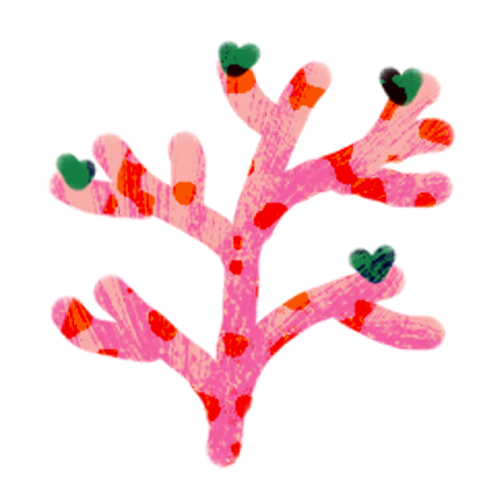 Pink Kelp illustration